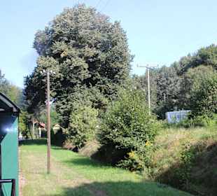 Durch das Tal der Lößnitz