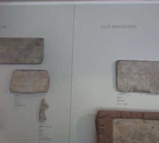 Rheinisches Landesmuseum