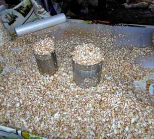 Rundgang über den Marché forain du Front de Mer