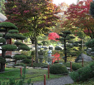 Im Japanischen Garten von "Planten un Blomen"