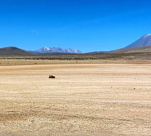 Mirador de los volcanes