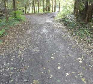 Weg zur Mühle
