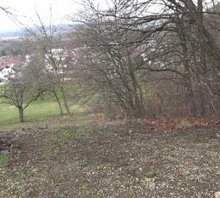 Geigersbühl Großbettlingen
