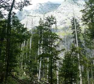 Auf dem Weg zur sogenannten Eiskapelle