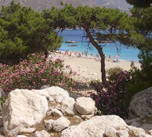 Apella Beach