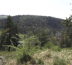 Waldlehrpfad an der Lauter