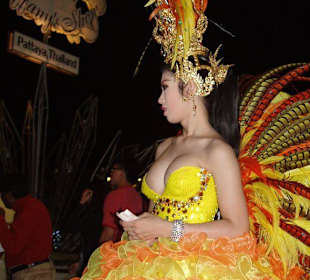 Тиффани шоу