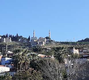 Agora