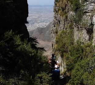 Wanderung auf denTafelberg