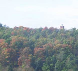 Blick zum Julius -Mosen-Turm
