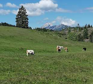 Wandern Weissensee