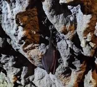 Kalkhöhle