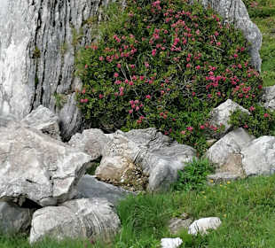 Wandern Bad Kleinkirchheim
