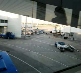 Flugfeld