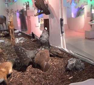 Nationalparkzentrum Haus der Berge