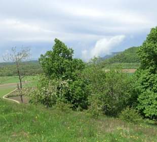 Berg Kornbühl Salmendingen