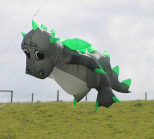 Drachenfest Drache