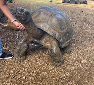 Tour durch den Süden