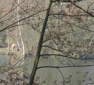 Wunderschöne Boberger Niederung