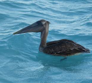 Strand Playa del Carmen