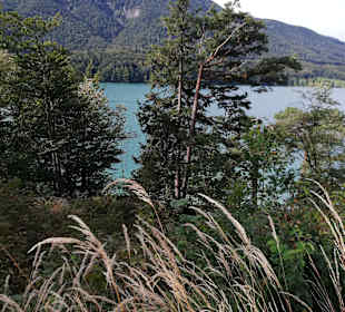 Wandern Fuschl am See