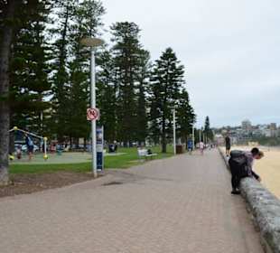 Manly Beach