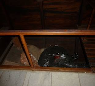 In der Station viele Erklärungen