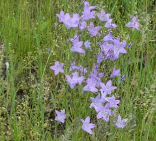 Unterwegs auf der Ostheimer Streifberg-Tour