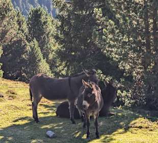 Wandern St. Sigmund im Sellrain