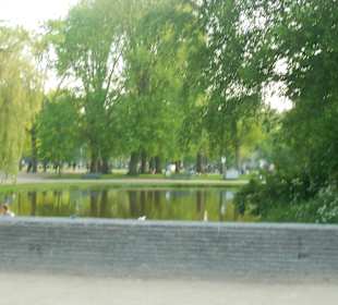 Vogelpark 