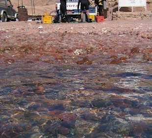 Leichter Start vom Ufer am Canyon