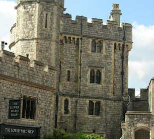 The Tower Ward Shop