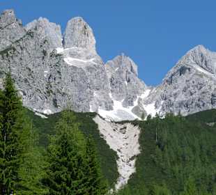 Bischofsmütze Filzmoos