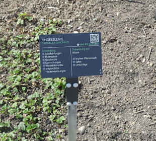 Erläuterungen der Kräuter