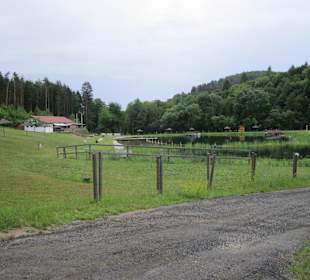 Badesee Kobersdorf