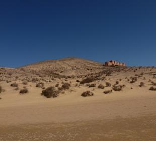 Bei Costa Calma / Windsurfing 