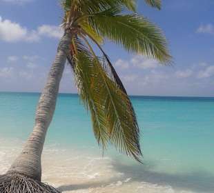 Zwischen Playa Sirena und Playa Paraiso