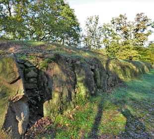 Das Gräberfeld II der Kleinenknetener Steine