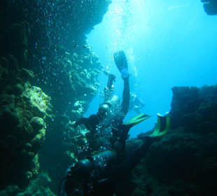 Tauchen  mit den Magic Divers