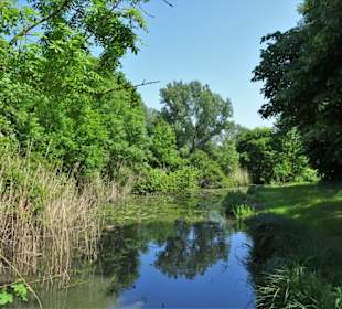 Impressionen vom Krimpelsee