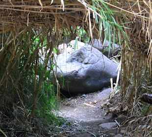 Die Wanderung ging hier durch - soo schön