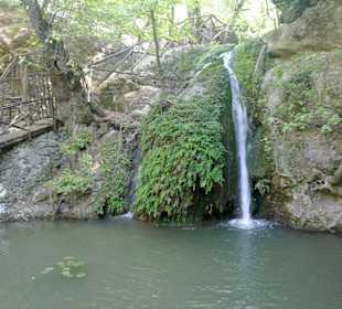 Im Tal der Schmetterlinge