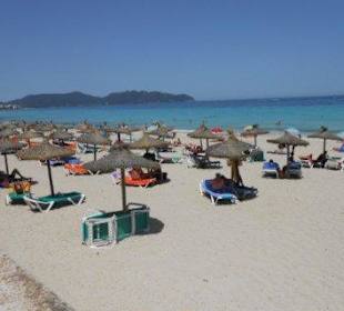 Strand mit vermieteten Schirmen & Liegen