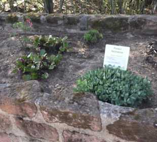 Gartenschau