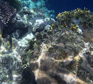 Rehana Royal Beach Resort & Spa