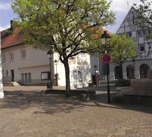 Stadtkirche St. Vitus