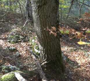 Höllenlöcher Hohenneuffen