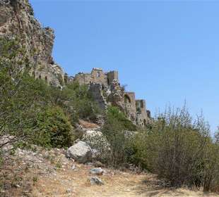 Seitlicher Blick nach oben