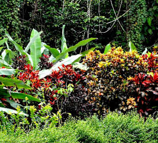 Impressionen aus den Jardins de Valombreuse