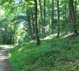 Premiumwanderweg "hochgelegen"
